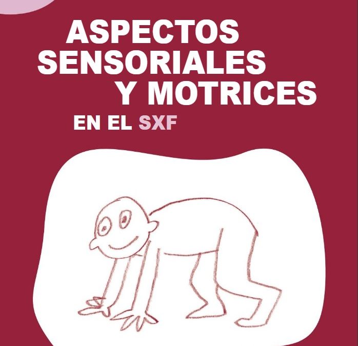 Cuaderno 4 – Aspectos sensoriales y motrices en el SFX